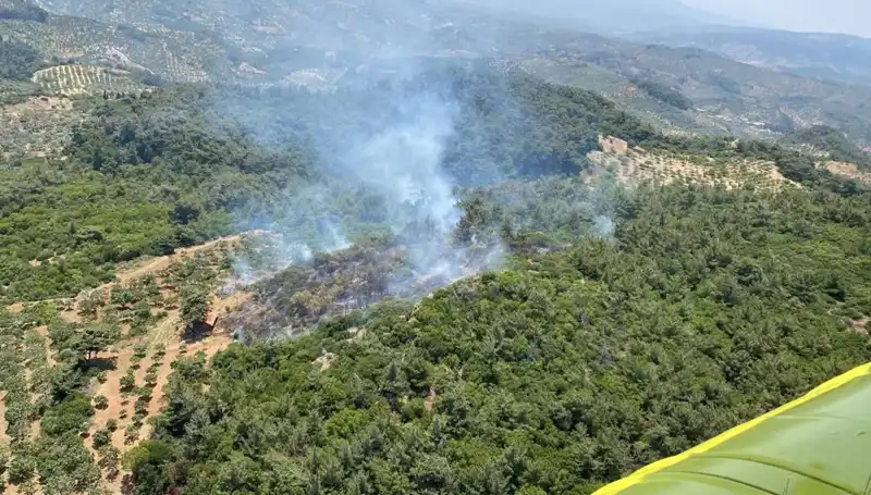Aydın’da Korkutan Orman Yangını: Yangın Seferberliği Başladı!