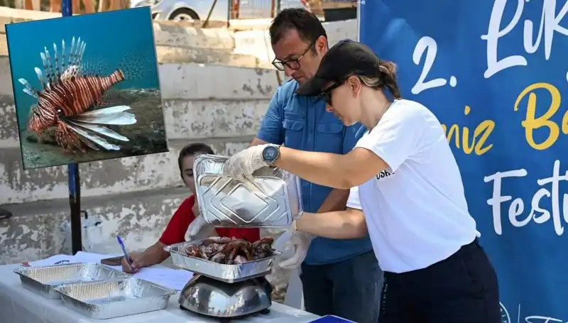 Antalya'da İstilacı Aslan Balığı Avlama Yarışması: Eğlence ve Bilinçlenme İç İçe