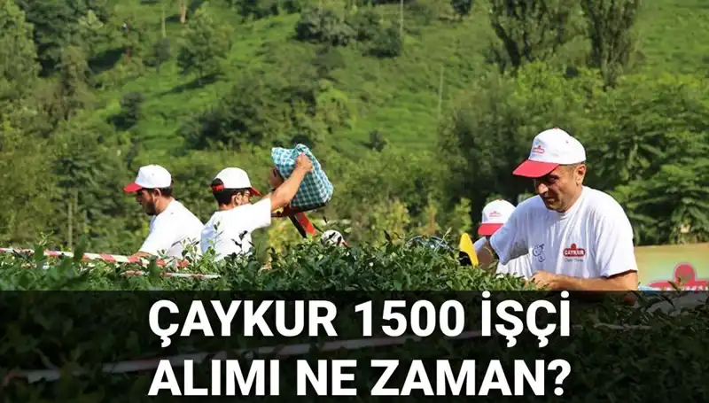 Çaykur İşçi Alımı Başvuru Tarihleri ve Süreç Hakkında Tüm Detaylar