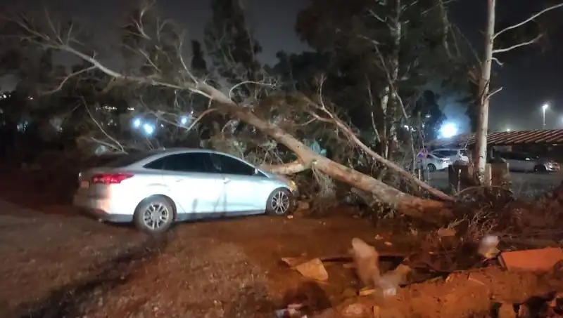 Hatay'da Beklenmedik Fırtına: Tekneler Alabora Oldu, Ağaçlar Devrildi