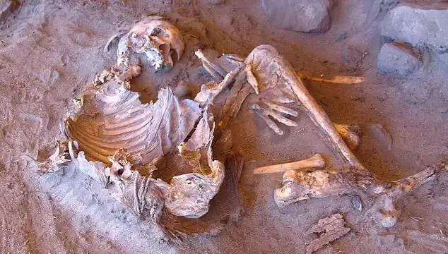 Yeni Mumya Keşfi, İnsanlığın Soy Ağacını Yeniden Şekillendiriyor