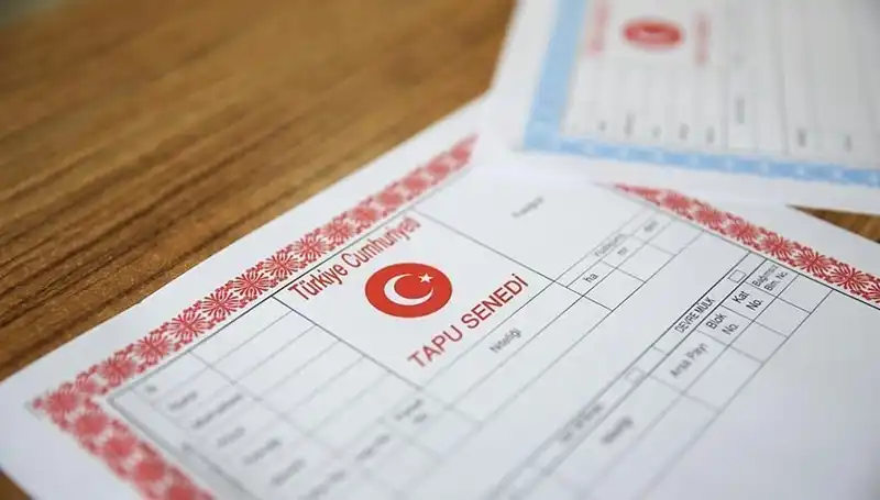 100 Milyonluk Hisseli Tapu Dolandırıcılığı: Tuzağın İfşası