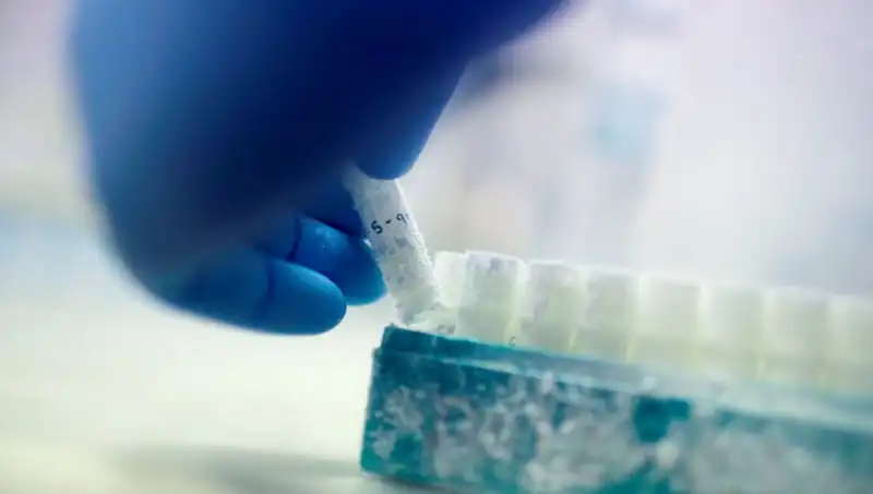 Tıbbi Felaket: 85 Sperm Donörü ile Binlerce Çocuğun Babası Olduğu Skandalı