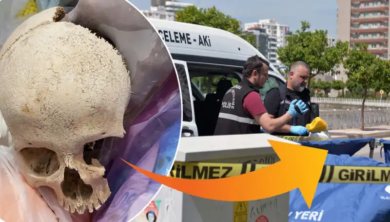 Sitenin Çöpünde Bulunan Kafatası: Uzman Doktor Gözaltına Alındı!