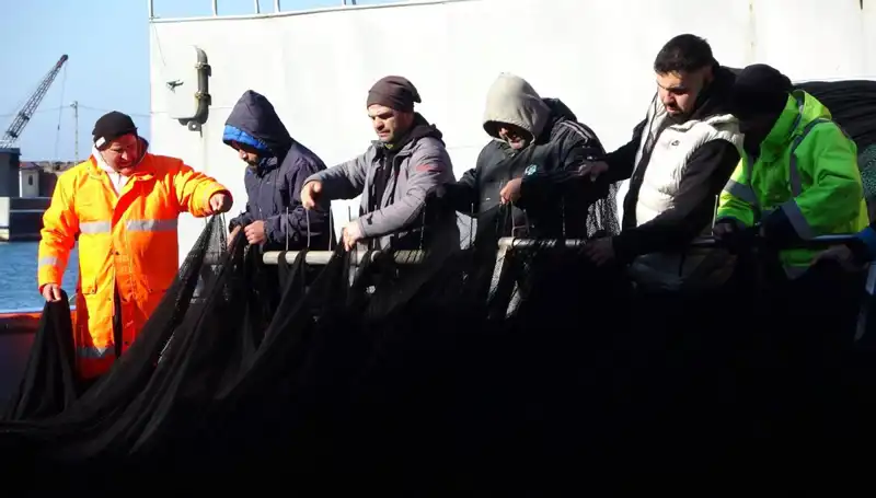 Denizlerde Hamsi Avı Elden Gidiyor: Balıkçılar Erken Paydos Etti