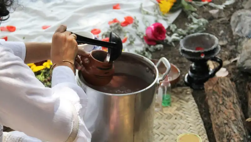 Ayahuasca Nedir? Yasak mı? Faydaları ve Riskleri Neler?