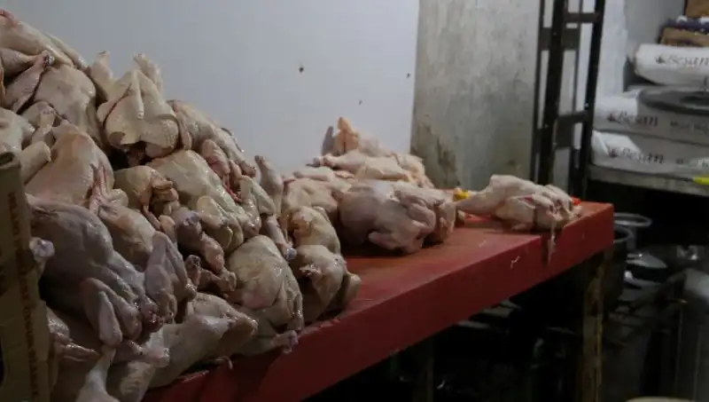 Döner İmalathanesindeki Şok Edici Görüntüler: Sağlık Alarm Veriyor