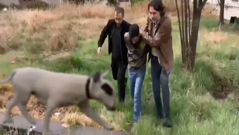 430 Bin Lira Değerindeki Şampiyon Köpek Hırsızlığında Şok Gelişme!