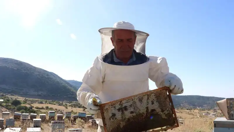 25 Yıldır Mobilya Yerine Tarım Yapan Adamın Başarı Hikayesi