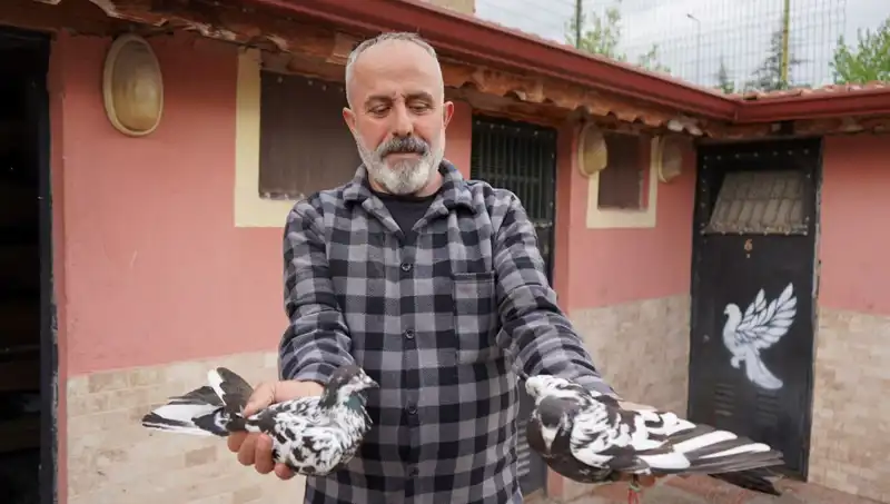 42 Yıldır Süren Bir Tutku: Hobiden Profesyonel Tesise Geçiş