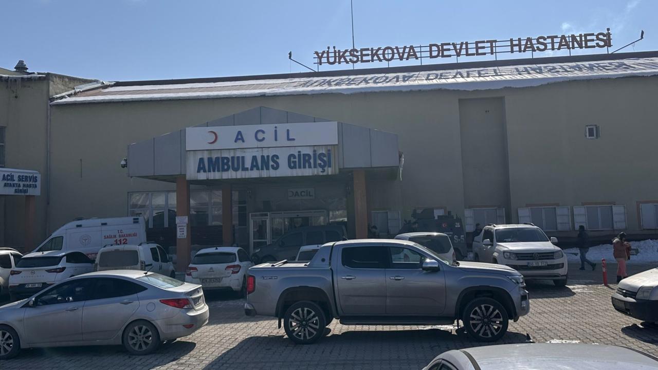 Başıboş köpeklerin saldırısıyla ölen çocuk için soruşturma başlatıldı