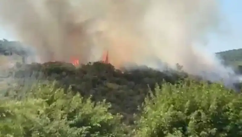 İstanbul Orman Yangını: Vatandaşlar Acil Olarak Tahliye Edildi