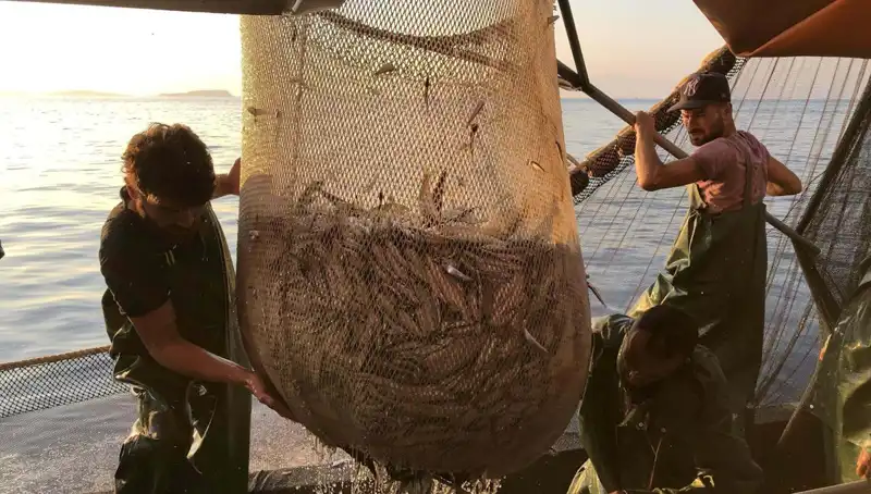Balıkçılar Grevde: İhlal Edenlere Yüksek Cezalar Kesiliyor