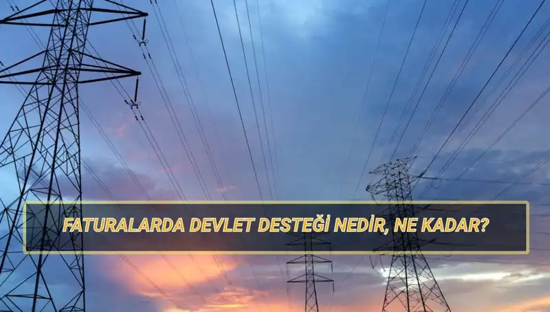2025 Yılında Doğalgaz ve Elektrik Faturaları İçin Devlet Desteği Nasıl Alınır?