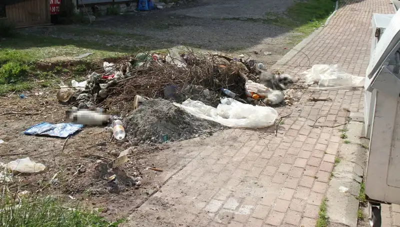 Antalya'da Kedilere Yönelik Vahşet: 10 Kedi Ölü Bulundu!