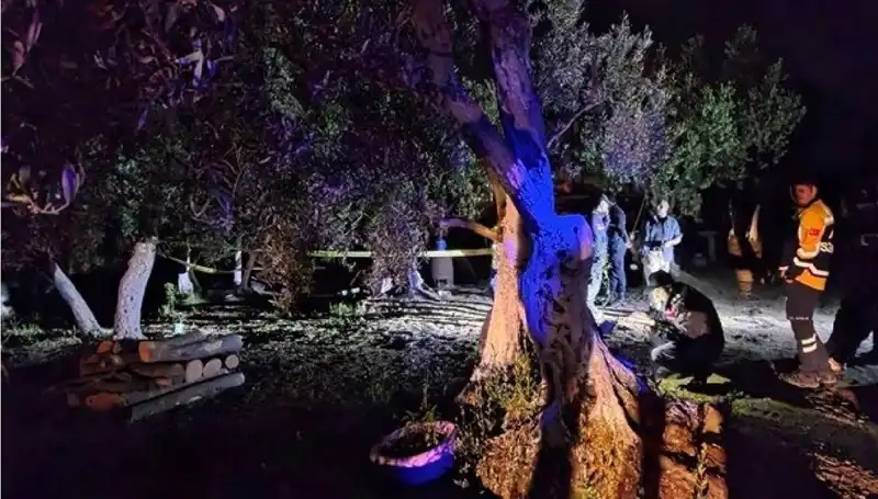 Çiftlikte Baltalı Vahşet: Olay Sonrası İlk Tutuklama Gerçekleşti