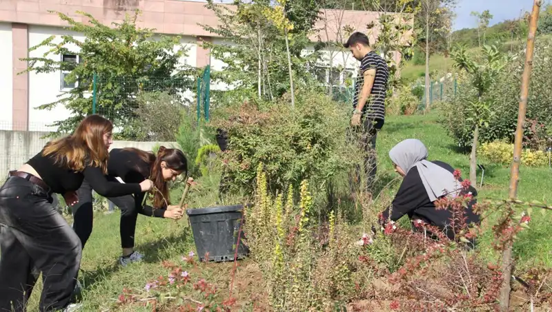 Düzce'nin Yıldızı: Global Başarıyı Yakalamış Bir Hayalin Öyküsü