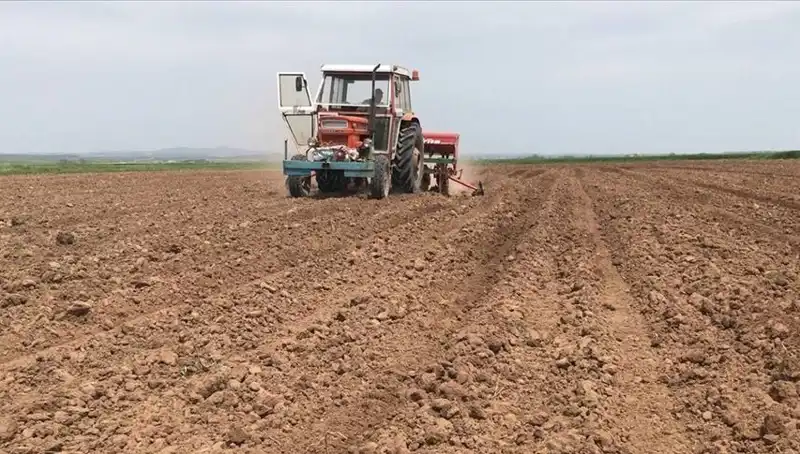 Son 35 Yılda Görülen En Kurak Mart Ayı: Neler Oluyor?