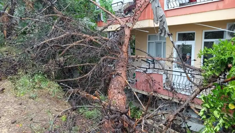 Yağmur Sonrası Bina Çöktü: Mahallede Korku Dolu Anlar
